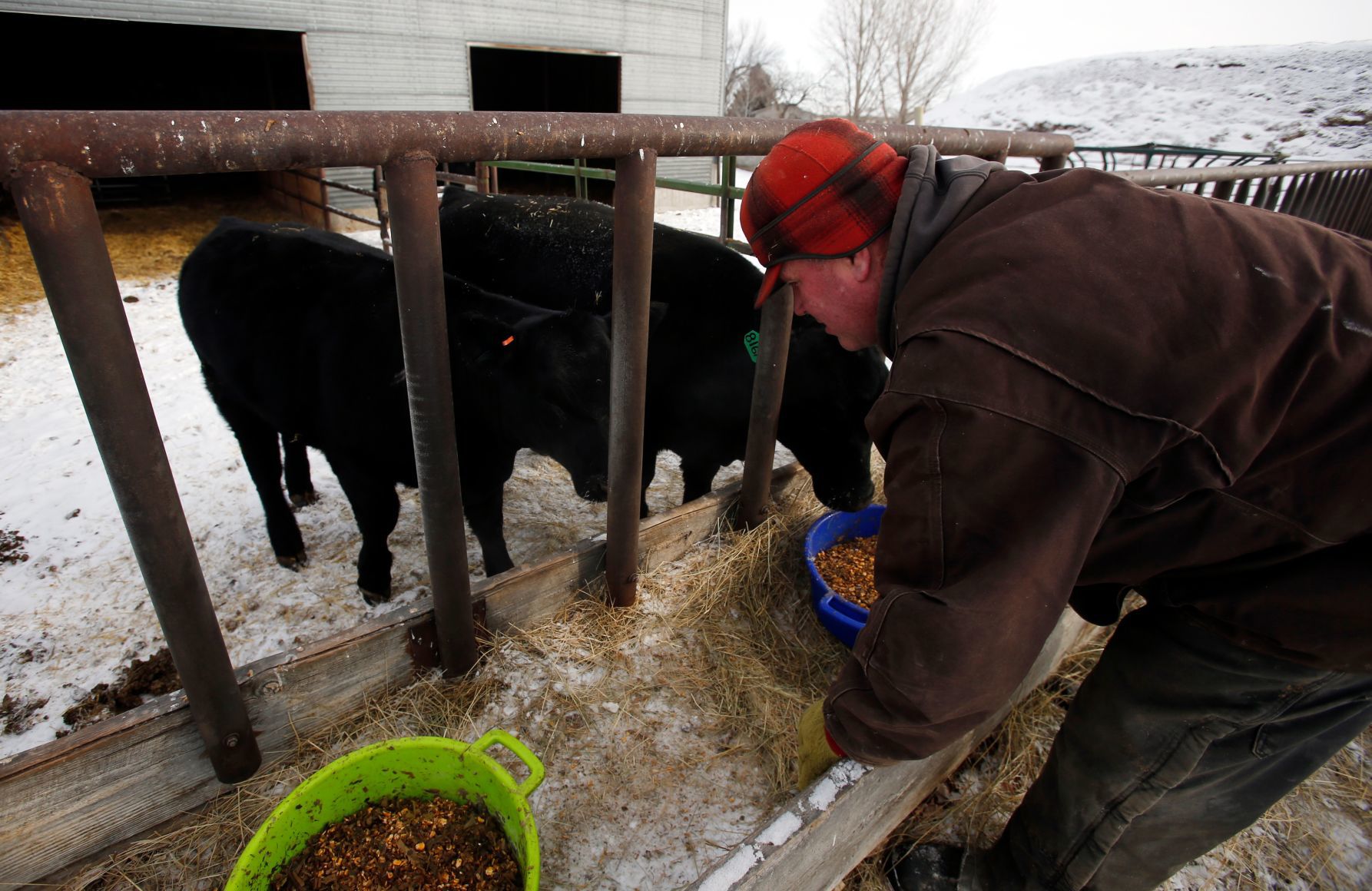 Ballantine rancher Dean Becker